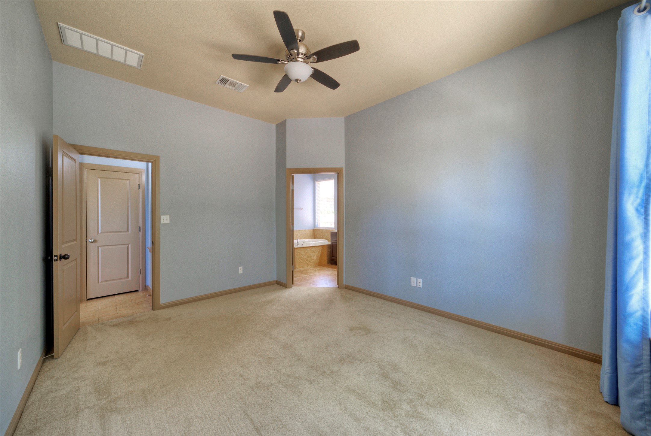 1601 Nelson Ranch Loop Cedar Park, TX 78613 - Photo 21 of 30 High ceilings and soft carpeting define this restful space leading directly into the bath.