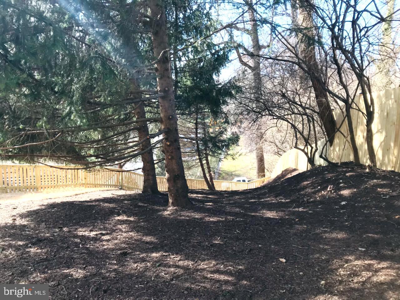 17 Ritchie Avenue Silver Spring, MD 20910 - Photo 36 of 38 Shade garden on one side.