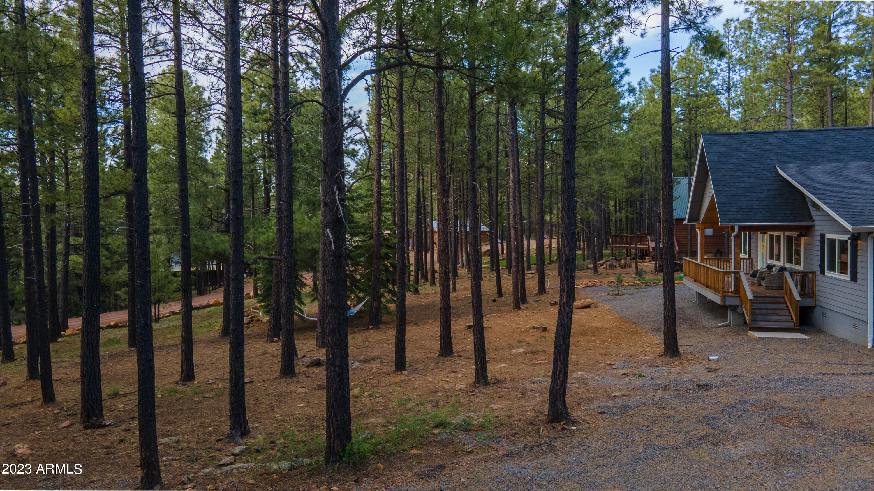 2772 Larson Loop Forest Lakes, AZ 85931 - Photo 58 of 65 a view of outdoor space and backyard