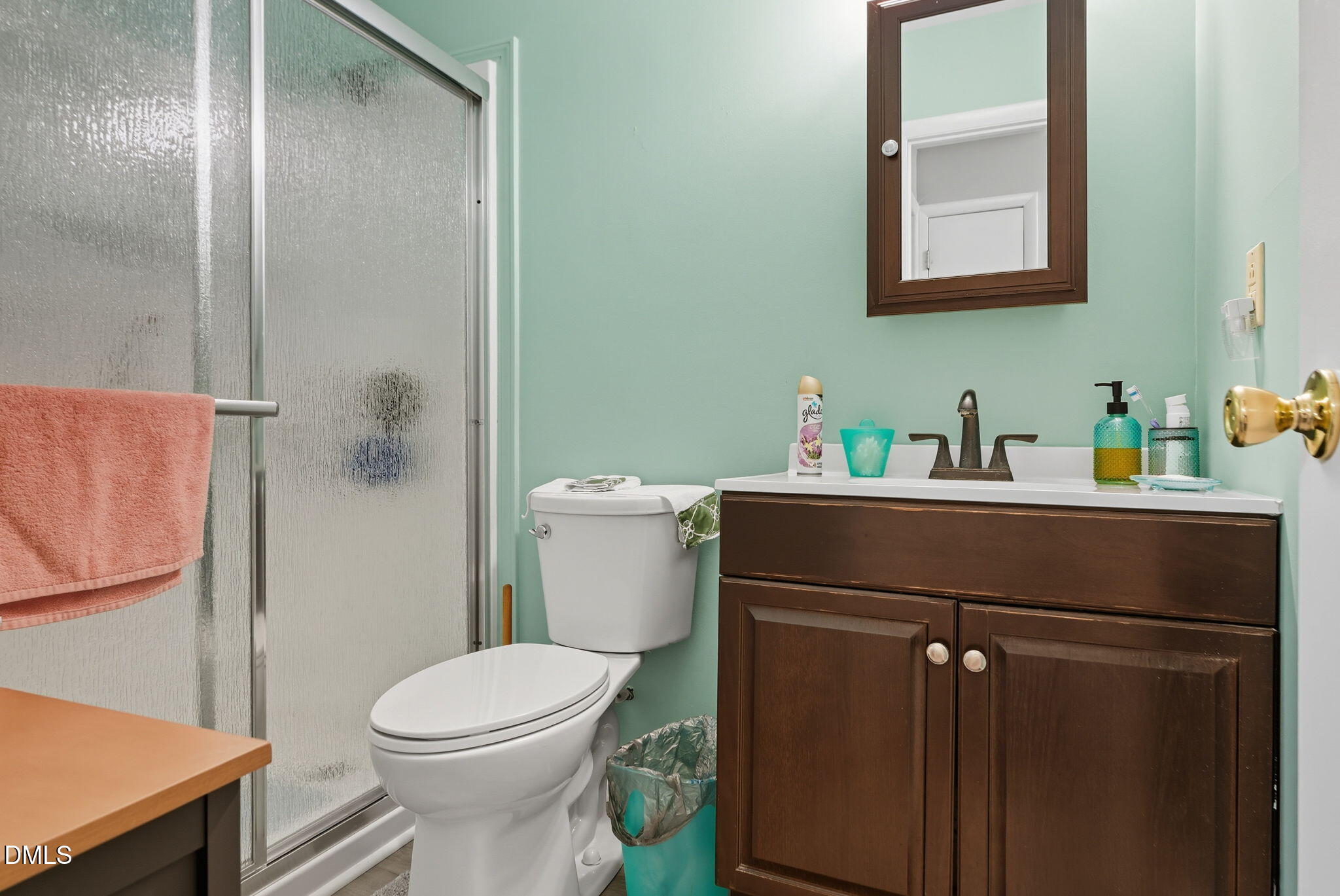 1412 Parks Village Road Zebulon, NC 27597 - Photo 25 of 40 a bathroom with a toilet sink and mirror