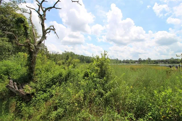 a view of lake with green space
