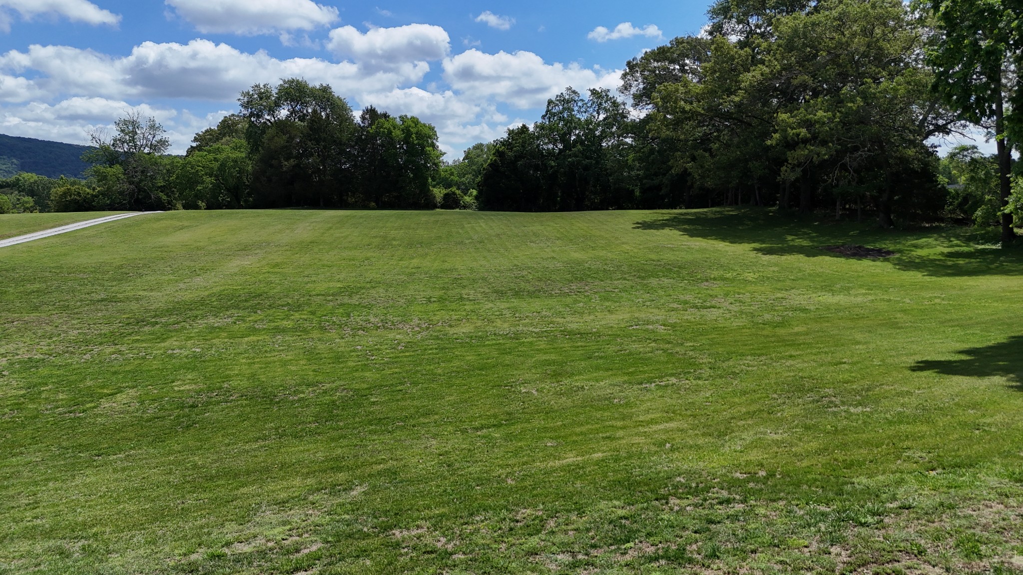 5234 Shellsford Road McMinnville, TN 37110 - Photo 54 of 59 a view of grassy field with trees in the background