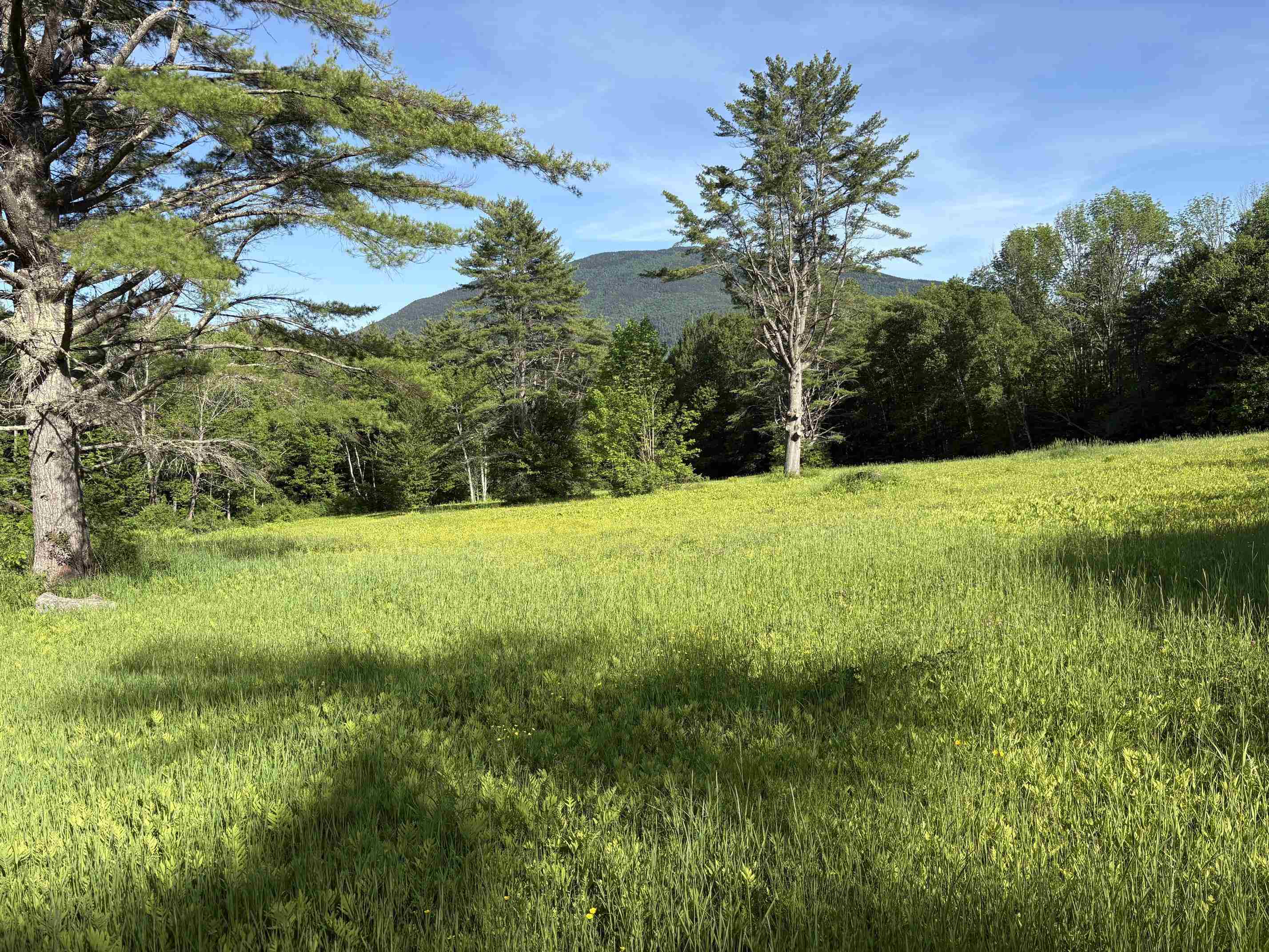 166 Jewett Road West Windsor, VT 05037 - Photo 57 of 60