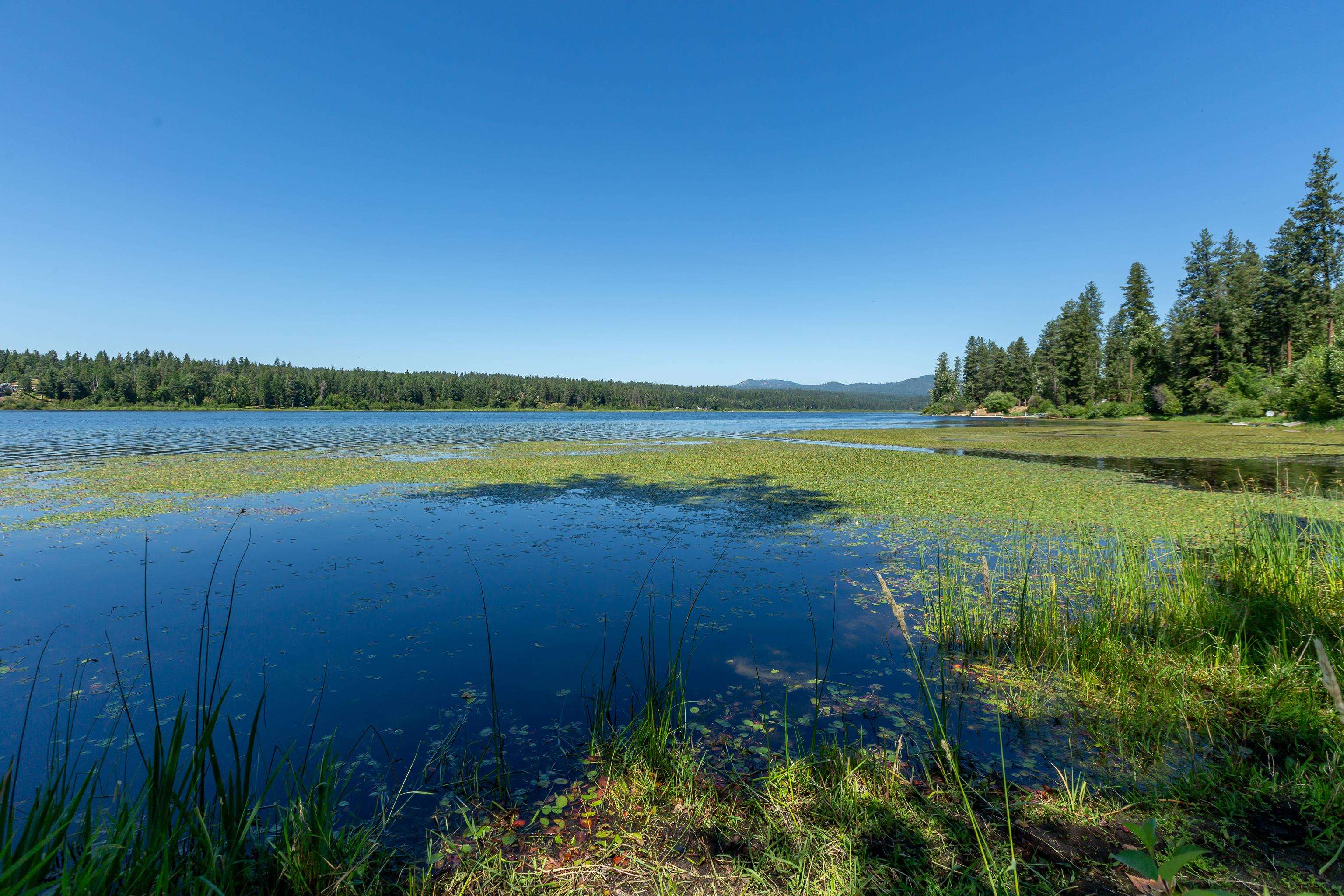 41125 North Lake Shore Road Elk, WA 99009 - Photo 35 of 43