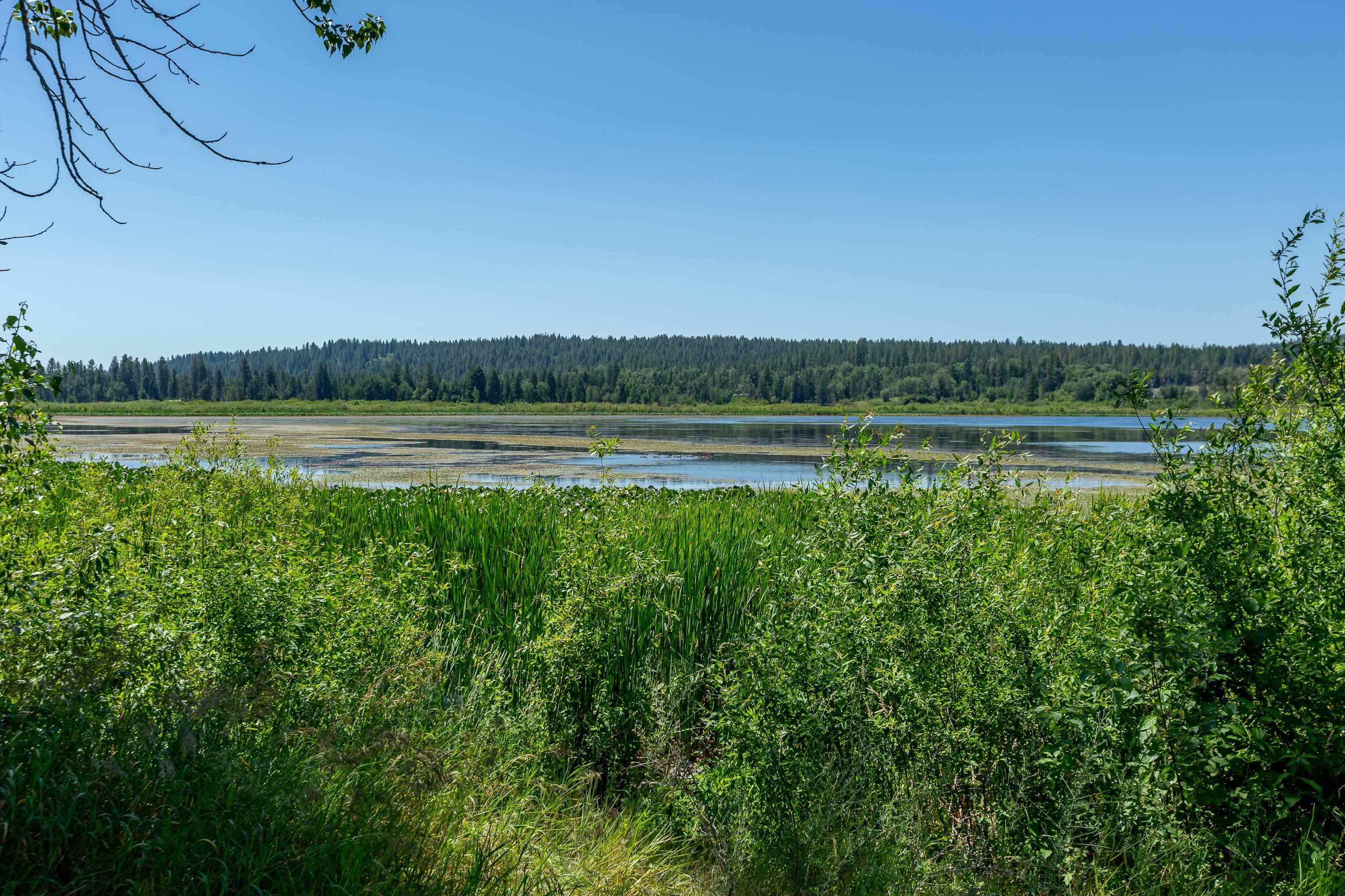 41125 North Lake Shore Road Elk, WA 99009 - Photo 37 of 43