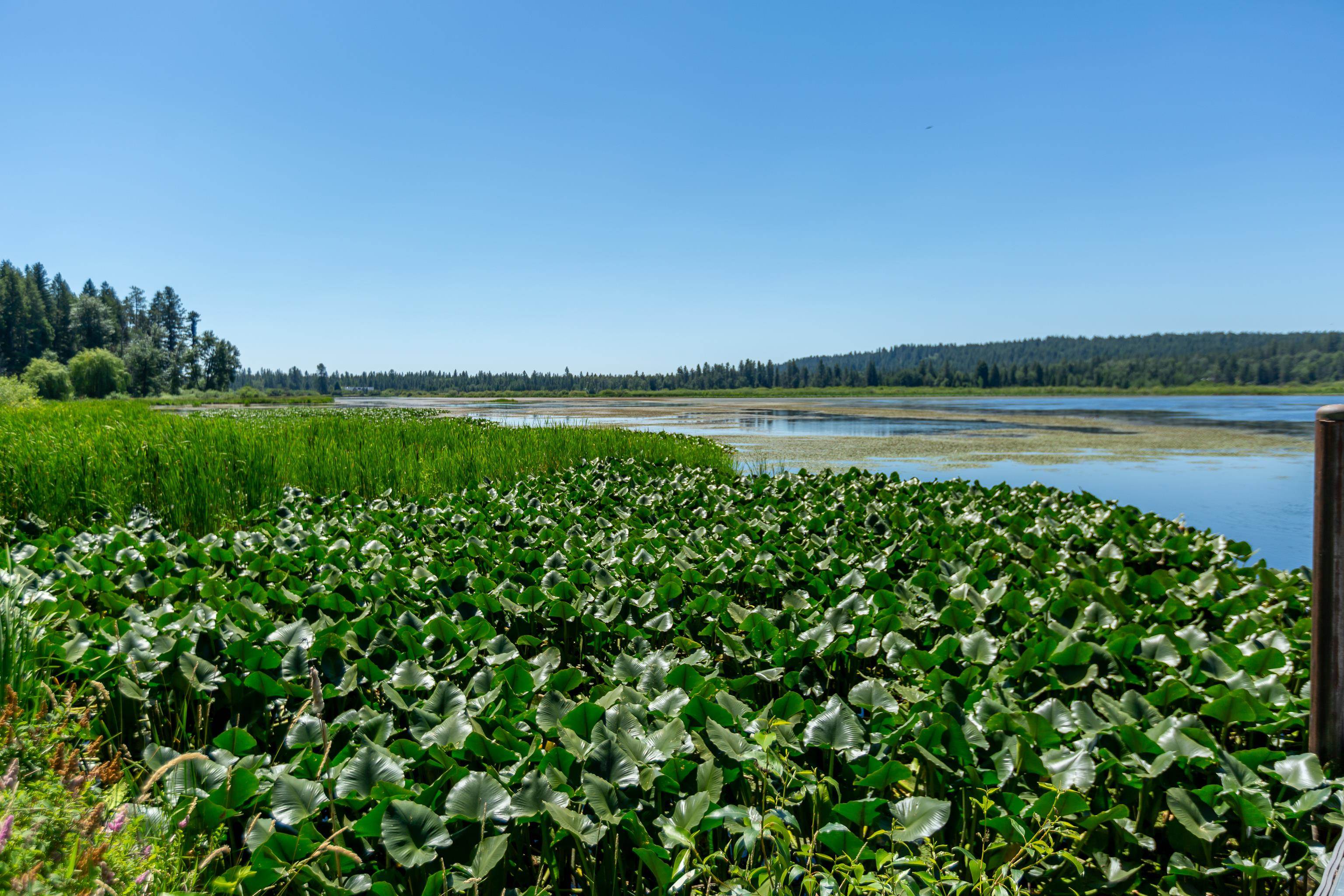 41125 North Lake Shore Road Elk, WA 99009 - Photo 40 of 43