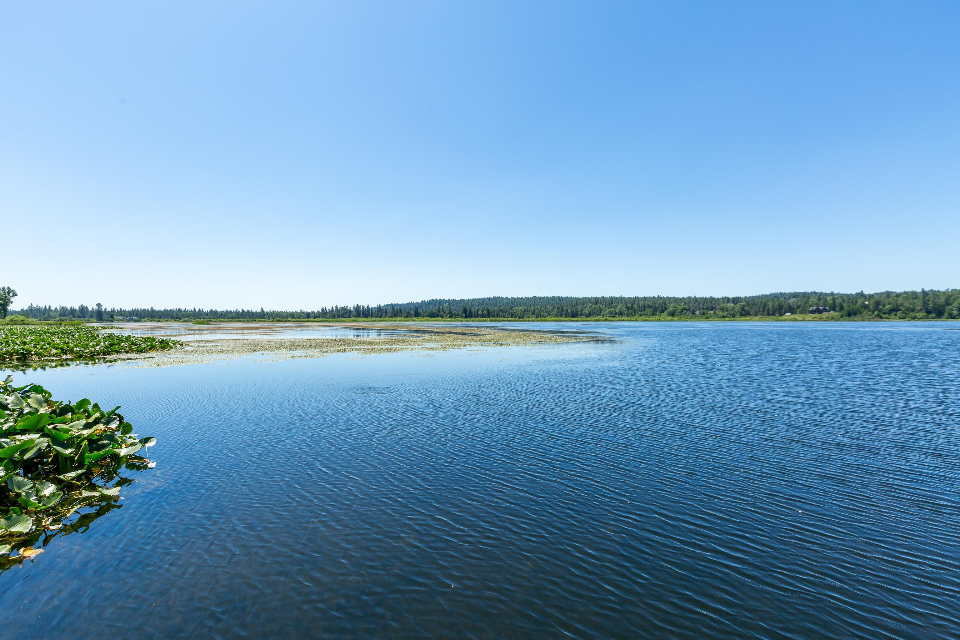 41125 North Lake Shore Road Elk, WA 99009 - Photo 42 of 43