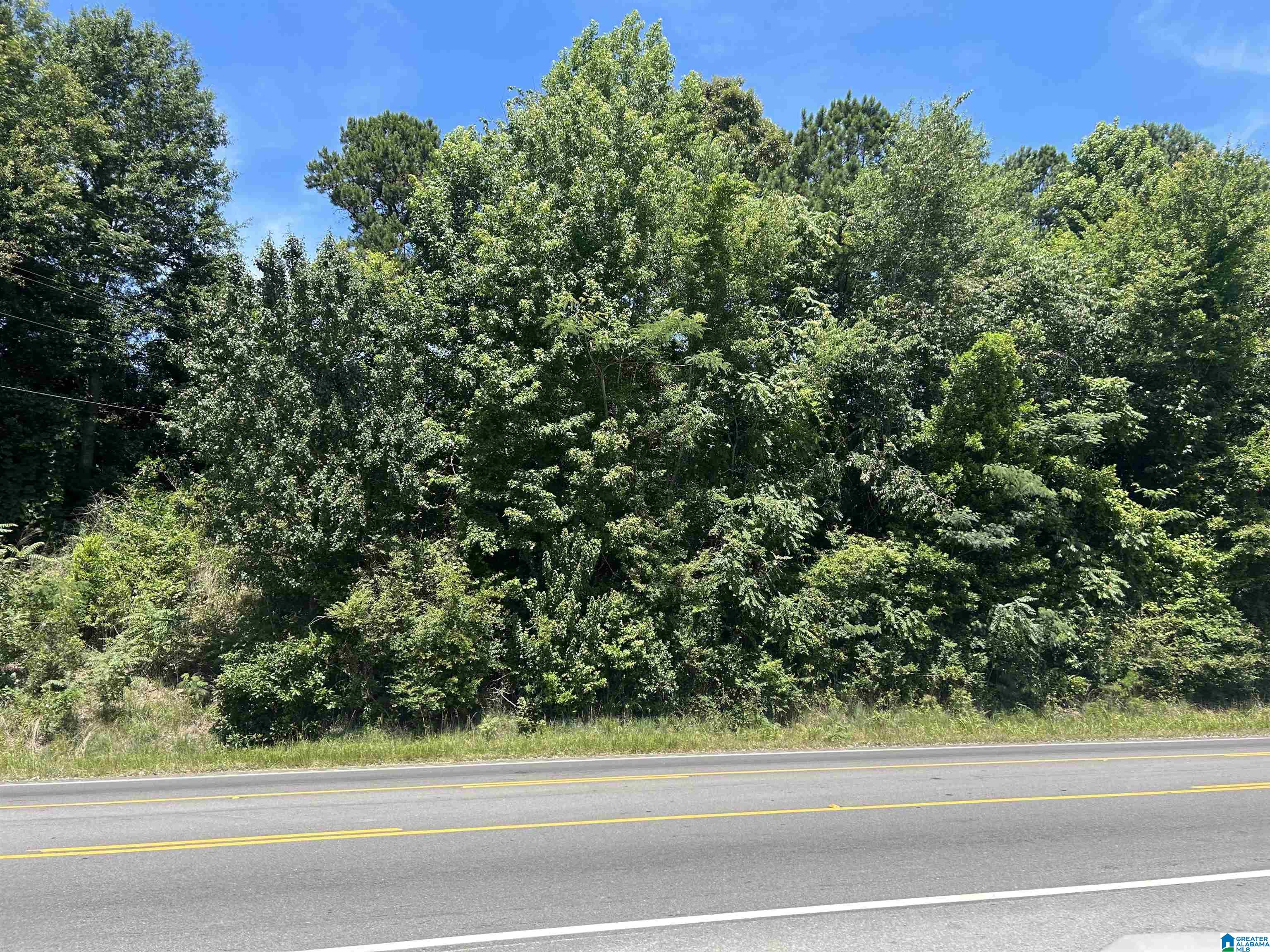 0 Highway 431, Unit 1 Roanoke, AL 36274 - Photo 1 of 5