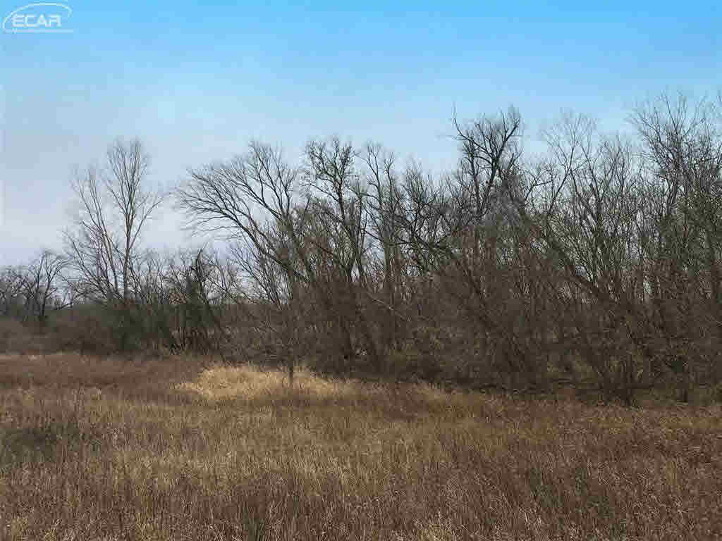 0 East Bennington Road Owosso, MI 48867 - Photo 5 of 5