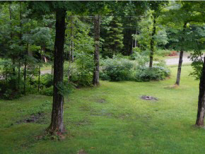 313 Hardscrabble Road Wardsboro, VT 05360 - Photo 19 of 20