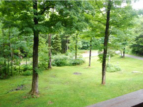 313 Hardscrabble Road Wardsboro, VT 05360 - Photo 20 of 20