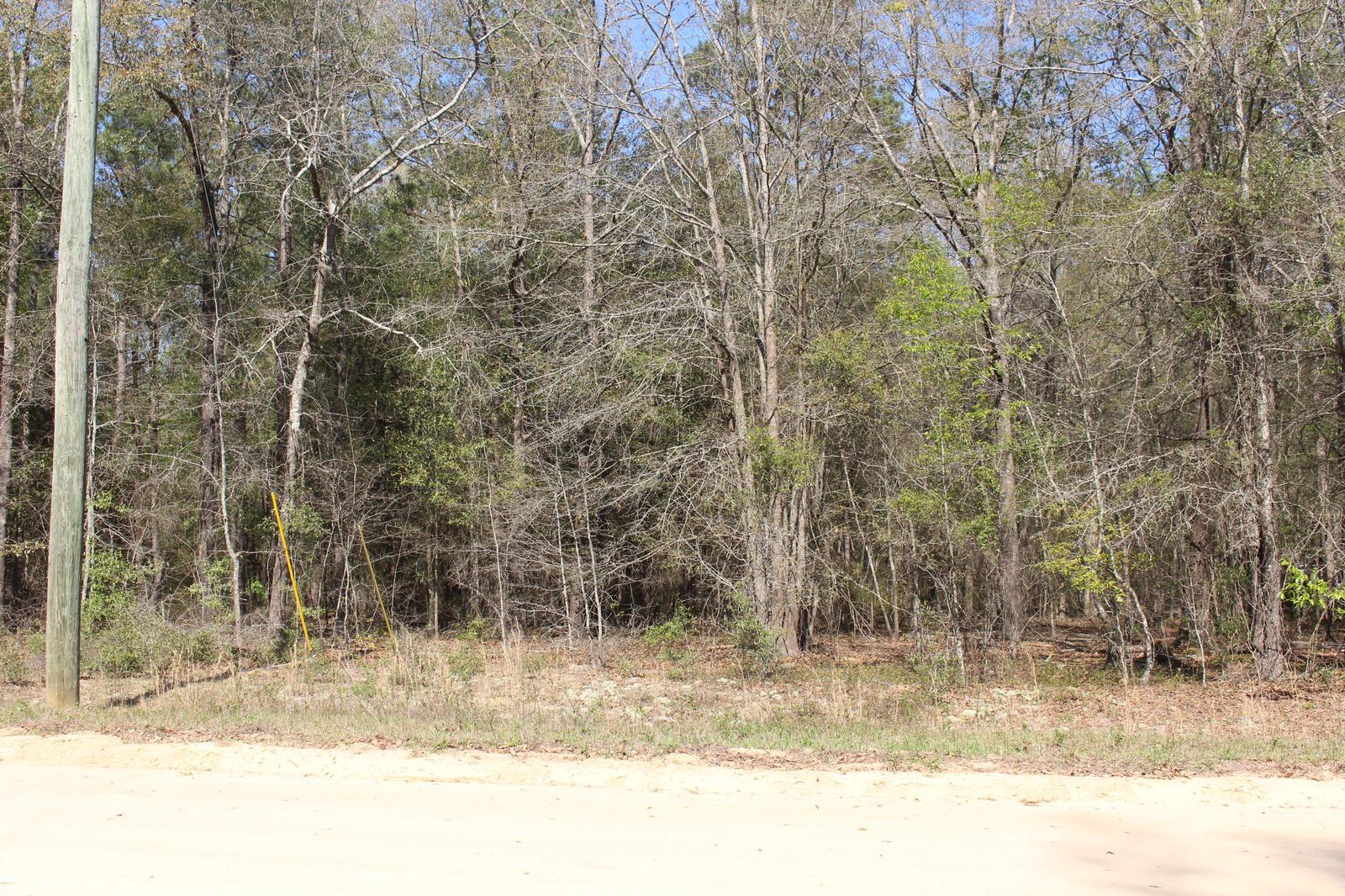 Lot 33 Pineneedle Road Hephzibah, GA 30815 - Photo 3 of 4 Front