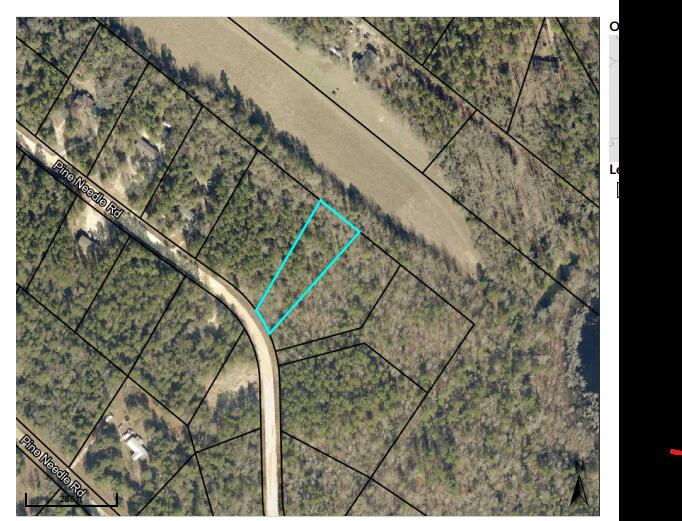 Lot 33 Pineneedle Road Hephzibah, GA 30815 - Photo 4 of 4 County Lines