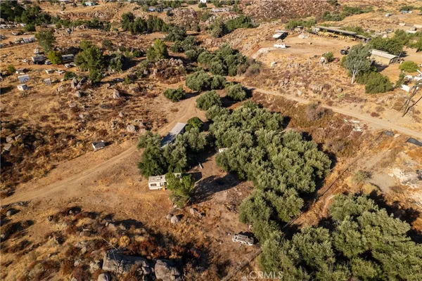 view of a yard with a tree
