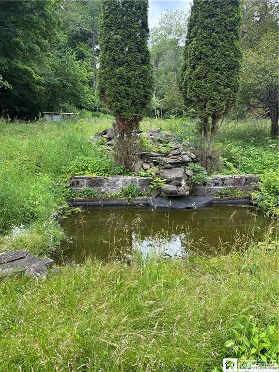 2045 Baxter Mills Road Ischua, NY 14743 - Photo 39 of 44 Gallery Image 39
