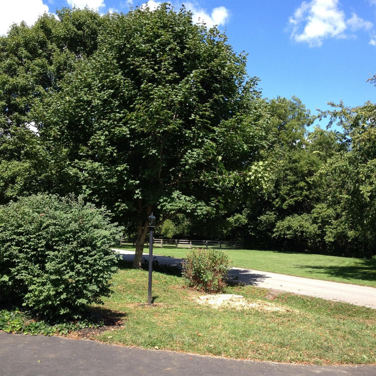 1023 Galloway Road Stamping Ground, KY 40379 - Photo 8 of 39 Photo 8