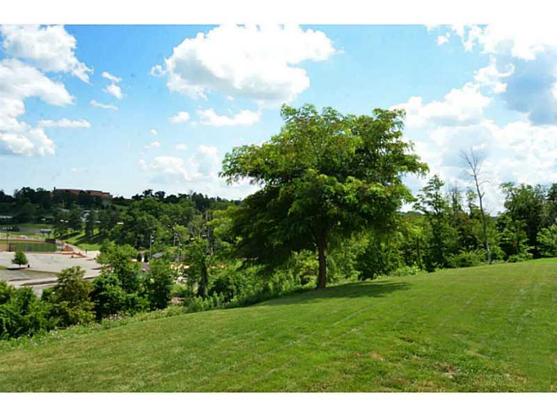 113 Walnut Drive McKees Rocks, PA 15136 - Photo 19 of 21 Yard/Garden. The yard is level.