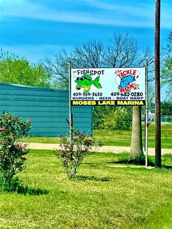 a view of a yard with an trees