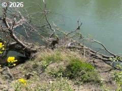 54210 Old Broadbent Road Myrtle Point, OR 97458 - Photo 11 of 33