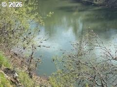 54210 Old Broadbent Road Myrtle Point, OR 97458 - Photo 12 of 33