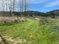 54210 Old Broadbent Road Myrtle Point, OR 97458 - Photo 16 of 33