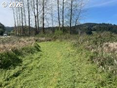 54210 Old Broadbent Road Myrtle Point, OR 97458 - Photo 17 of 33