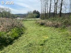 54210 Old Broadbent Road Myrtle Point, OR 97458 - Photo 18 of 33