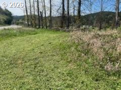 54210 Old Broadbent Road Myrtle Point, OR 97458 - Photo 19 of 33