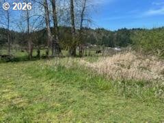 54210 Old Broadbent Road Myrtle Point, OR 97458 - Photo 20 of 33