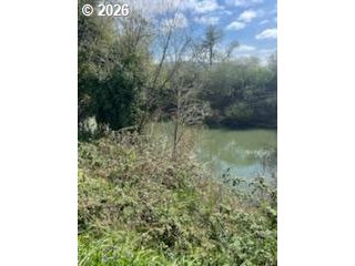 54210 Old Broadbent Road Myrtle Point, OR 97458 - Photo 2 of 33