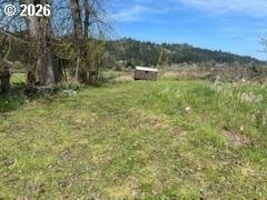 54210 Old Broadbent Road Myrtle Point, OR 97458 - Photo 21 of 33