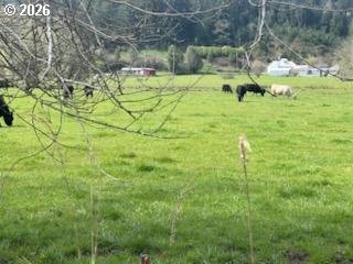 54210 Old Broadbent Road Myrtle Point, OR 97458 - Photo 24 of 33