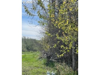 54210 Old Broadbent Road Myrtle Point, OR 97458 - Photo 25 of 33