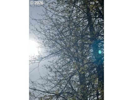 54210 Old Broadbent Road Myrtle Point, OR 97458 - Photo 26 of 33