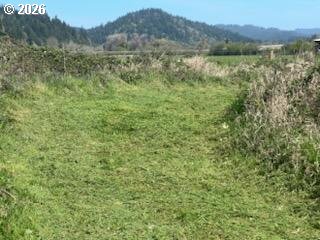 54210 Old Broadbent Road Myrtle Point, OR 97458 - Photo 27 of 33