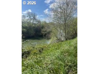 54210 Old Broadbent Road Myrtle Point, OR 97458 - Photo 3 of 33