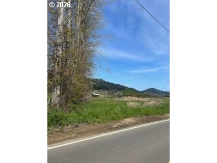 54210 Old Broadbent Road Myrtle Point, OR 97458 - Photo 31 of 33