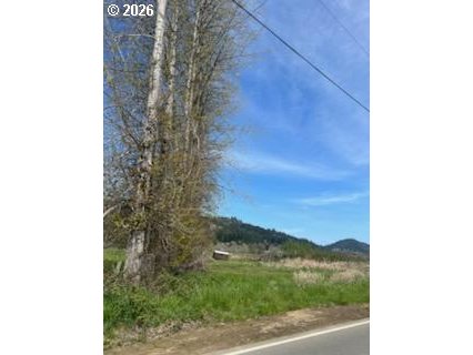 54210 Old Broadbent Road Myrtle Point, OR 97458 - Photo 32 of 33