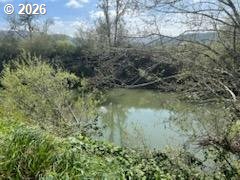 54210 Old Broadbent Road Myrtle Point, OR 97458 - Photo 4 of 33