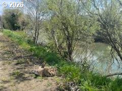 54210 Old Broadbent Road Myrtle Point, OR 97458 - Photo 6 of 33