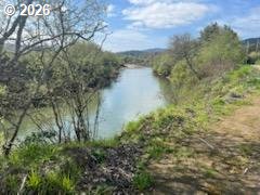 54210 Old Broadbent Road Myrtle Point, OR 97458 - Photo 7 of 33