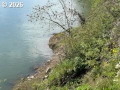 54210 Old Broadbent Road Myrtle Point, OR 97458 - Photo 10 of 33