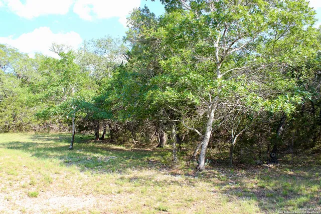 a view of a yard with a tree
