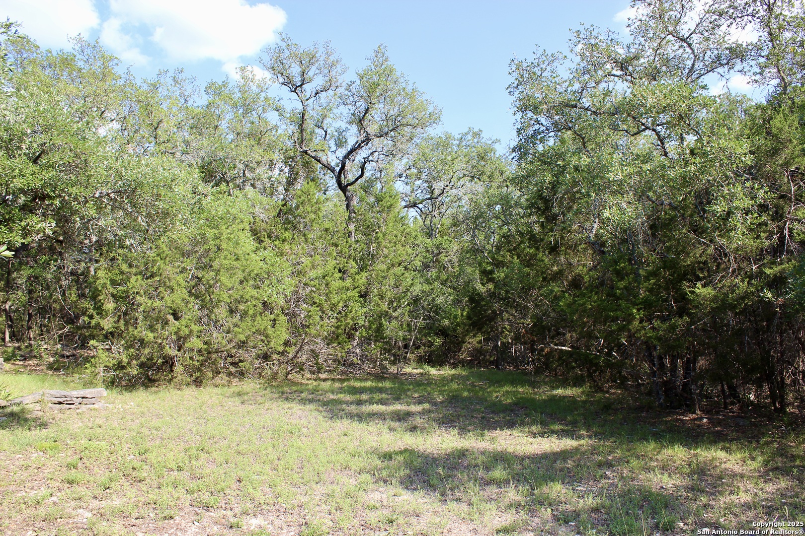 197 Rosenberry Bulverde, TX 78163 - Photo 6 of 11