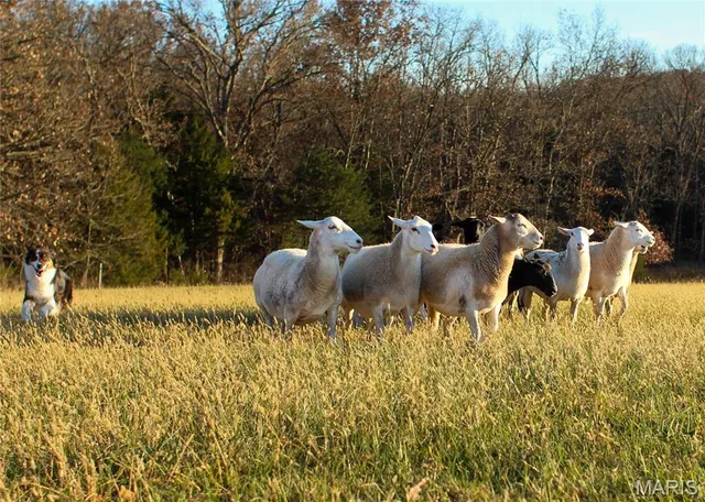 $895,000 | 9445 Hwy An, Rosebud, MO 63091