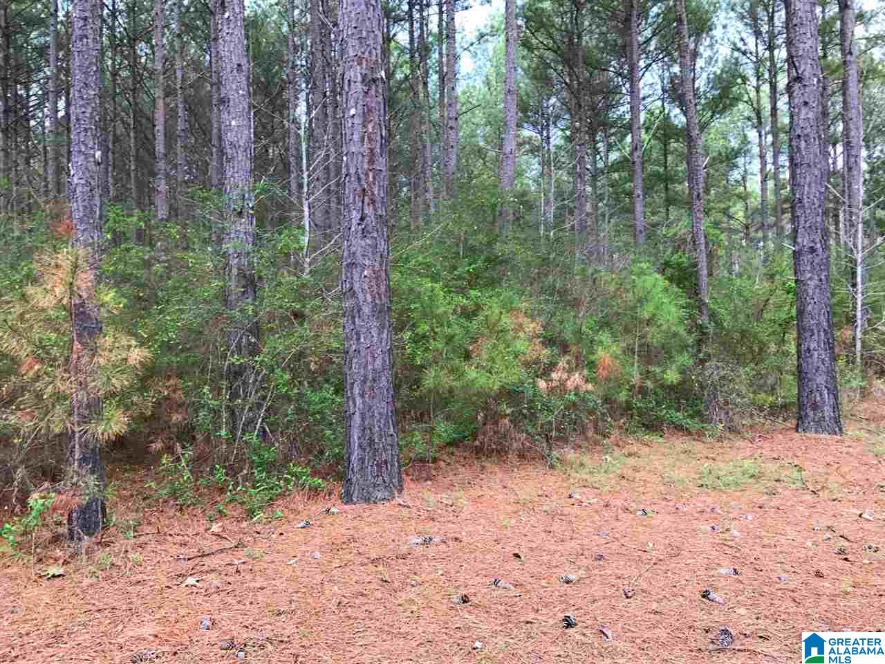78 Pilgrims Path, Unit 19 Anniston, AL 36207 - Photo 16 of 35