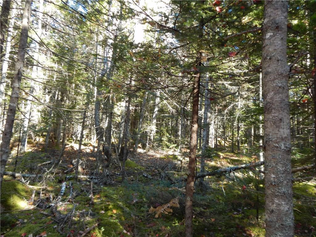 Lot 38 Grand Marsh Bay Road Corea, ME 04624 - Photo 14 of 17 Photo