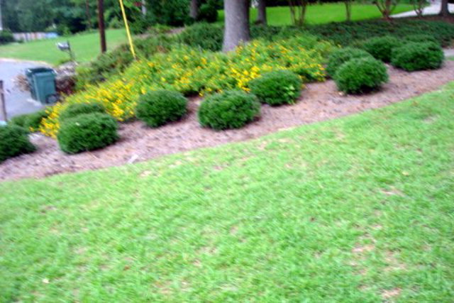 160 Arbor Climb Road Macon, GA 31210 - Photo 24 of 25 Additional Photo