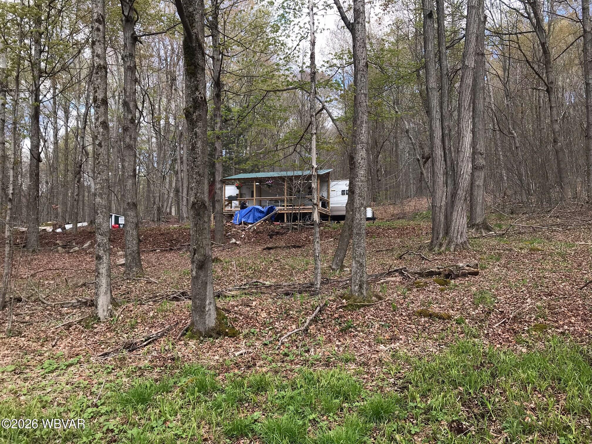 Hill Road Shunk, PA 17768 - Photo 1 of 18 image1