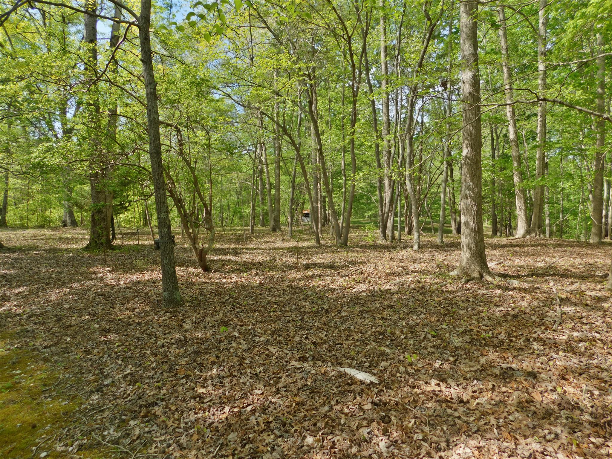 220 Redmon Road Smithville, TN 37166 - Photo 16 of 30 Gallery Image 16